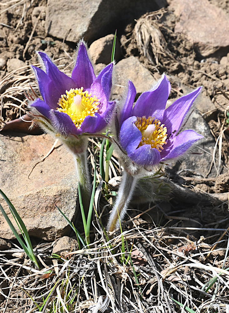 DSC_0058.jpg