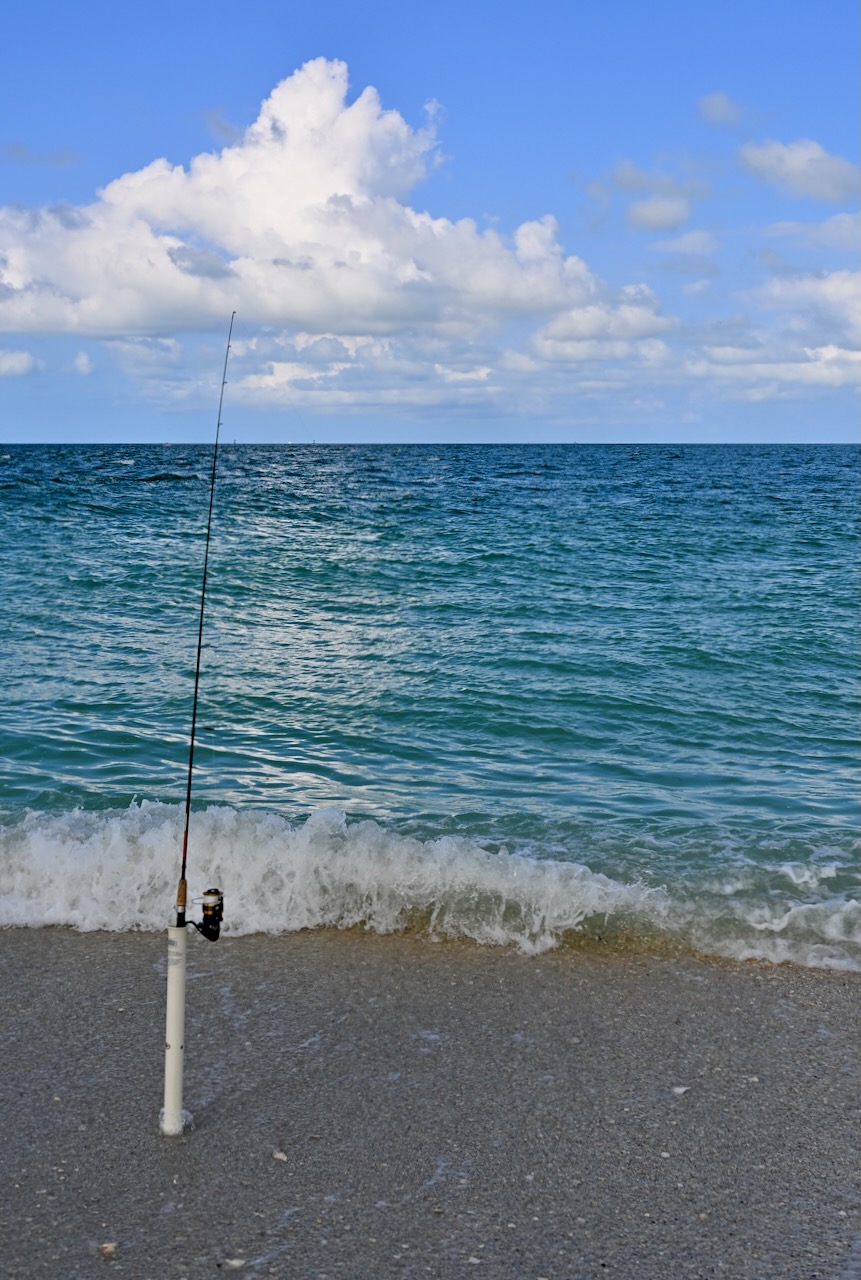 DSC_0074.jpeg