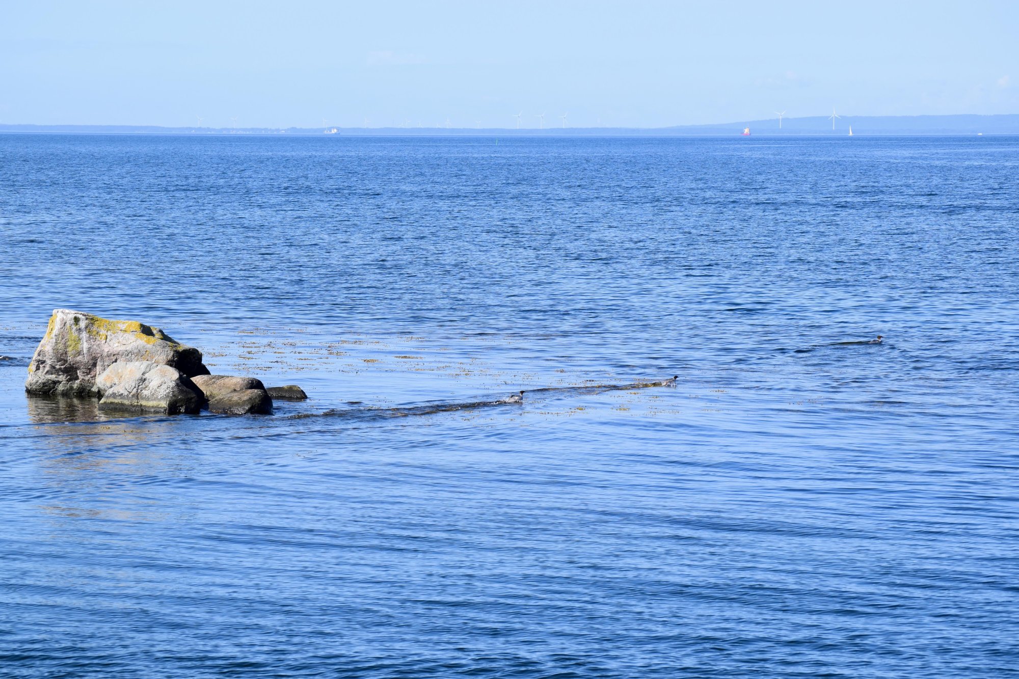 DSC_0084.jpeg
