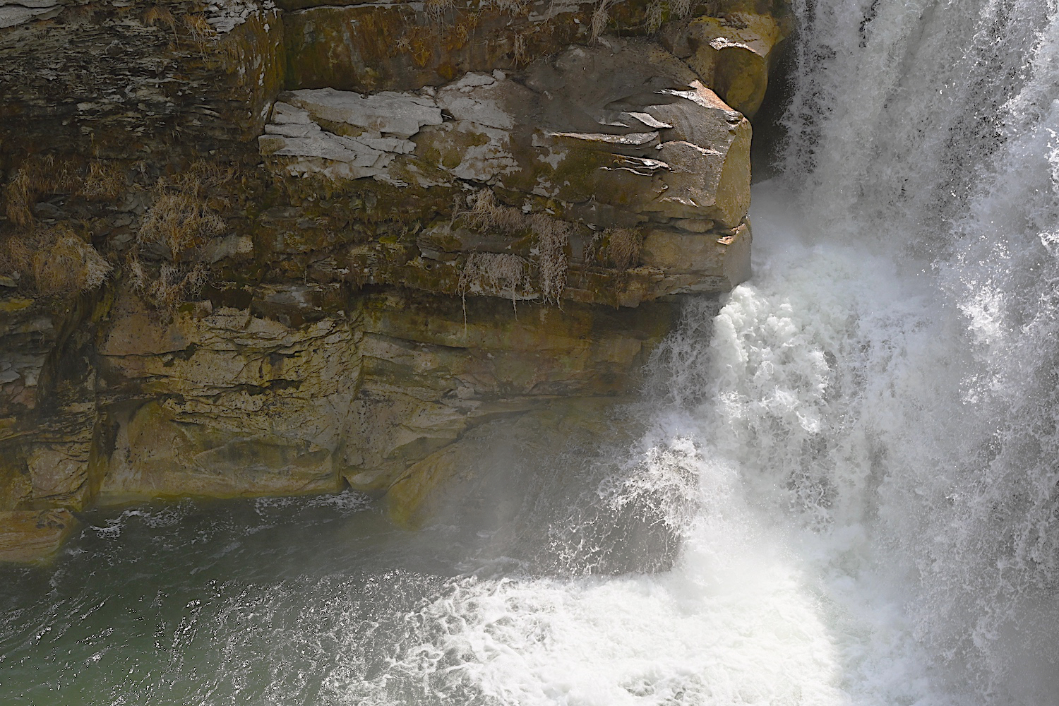 DSC_0087.jpg