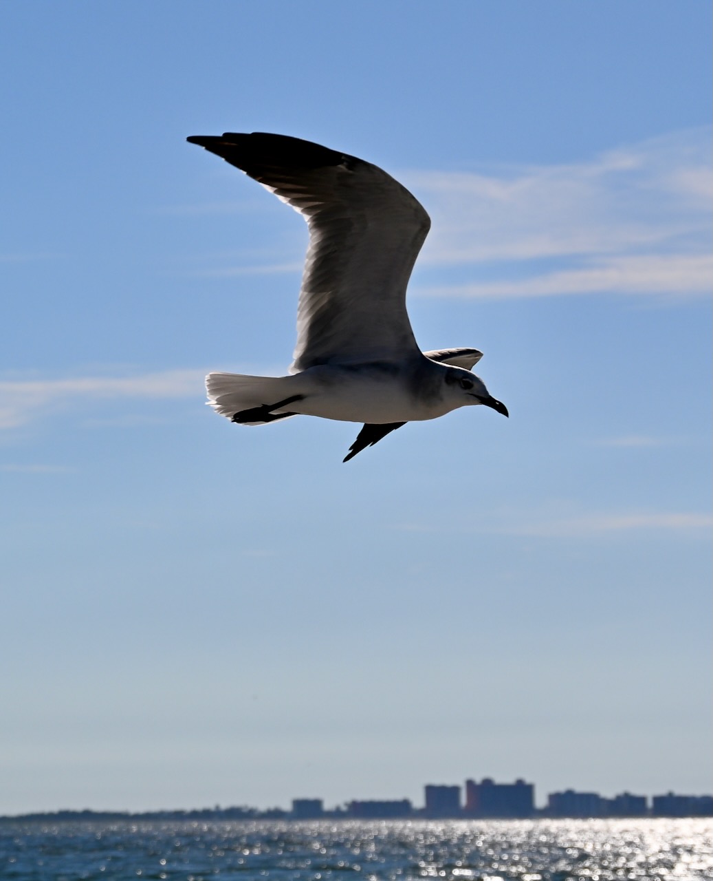 DSC_0143.jpeg