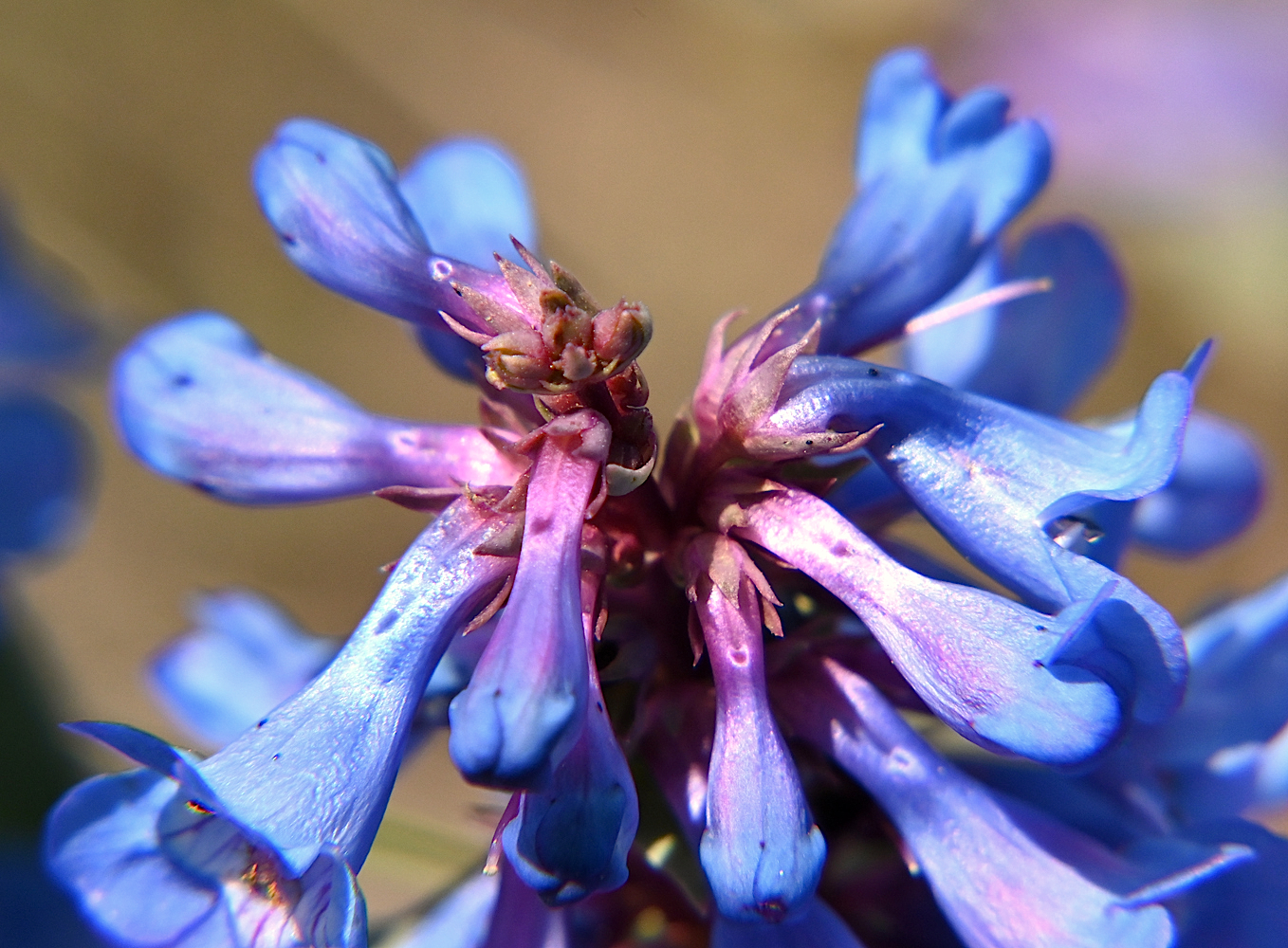 DSC_0189A.jpg