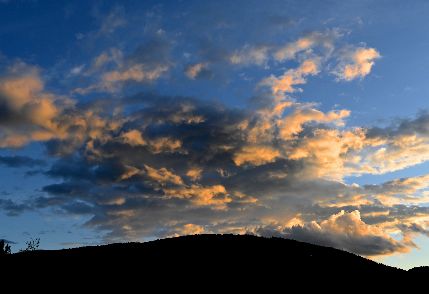 DSC_0221.jpg