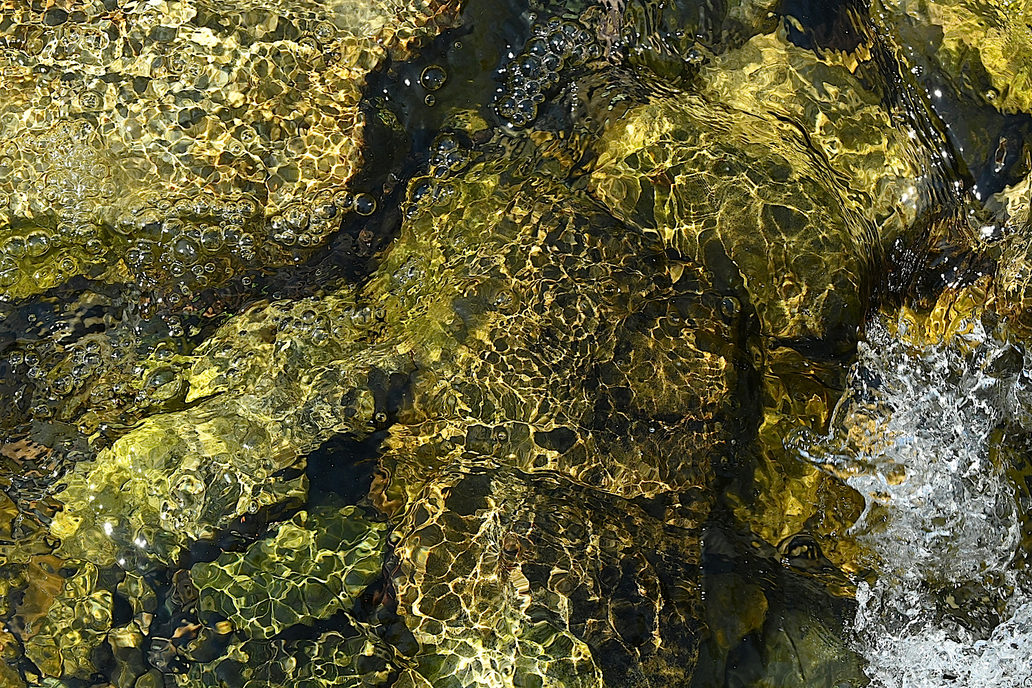 DSC_0309a.jpg