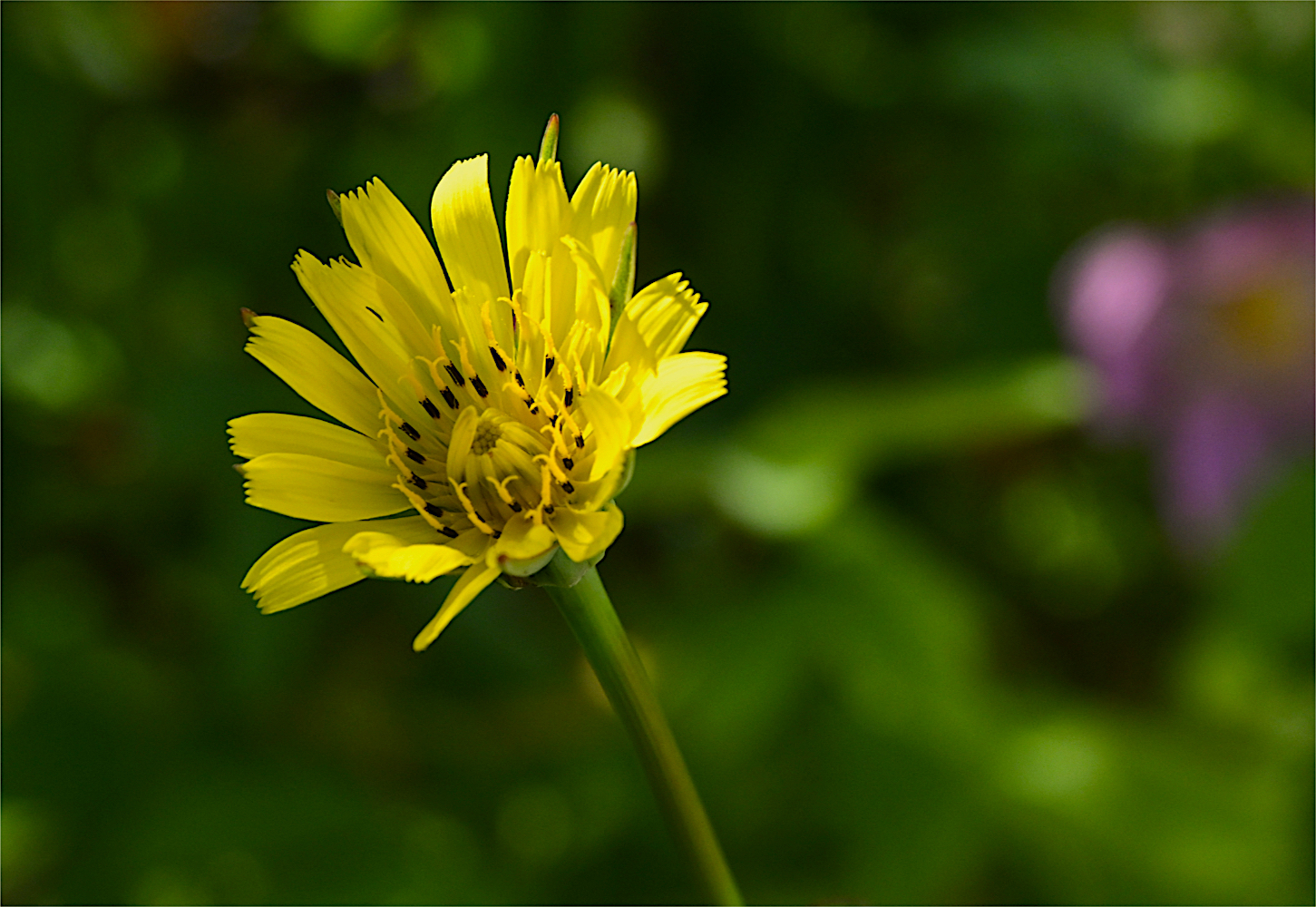 DSC_0332.jpg