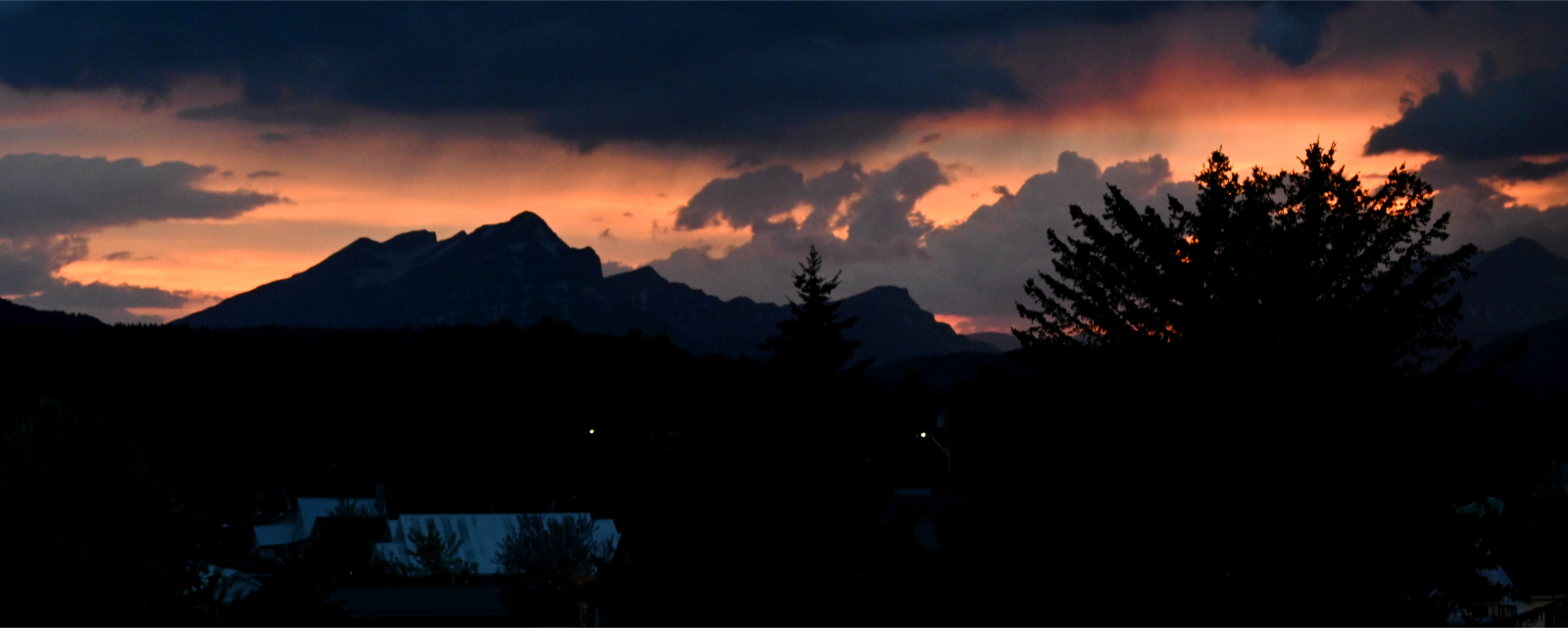 DSC_0360.jpg