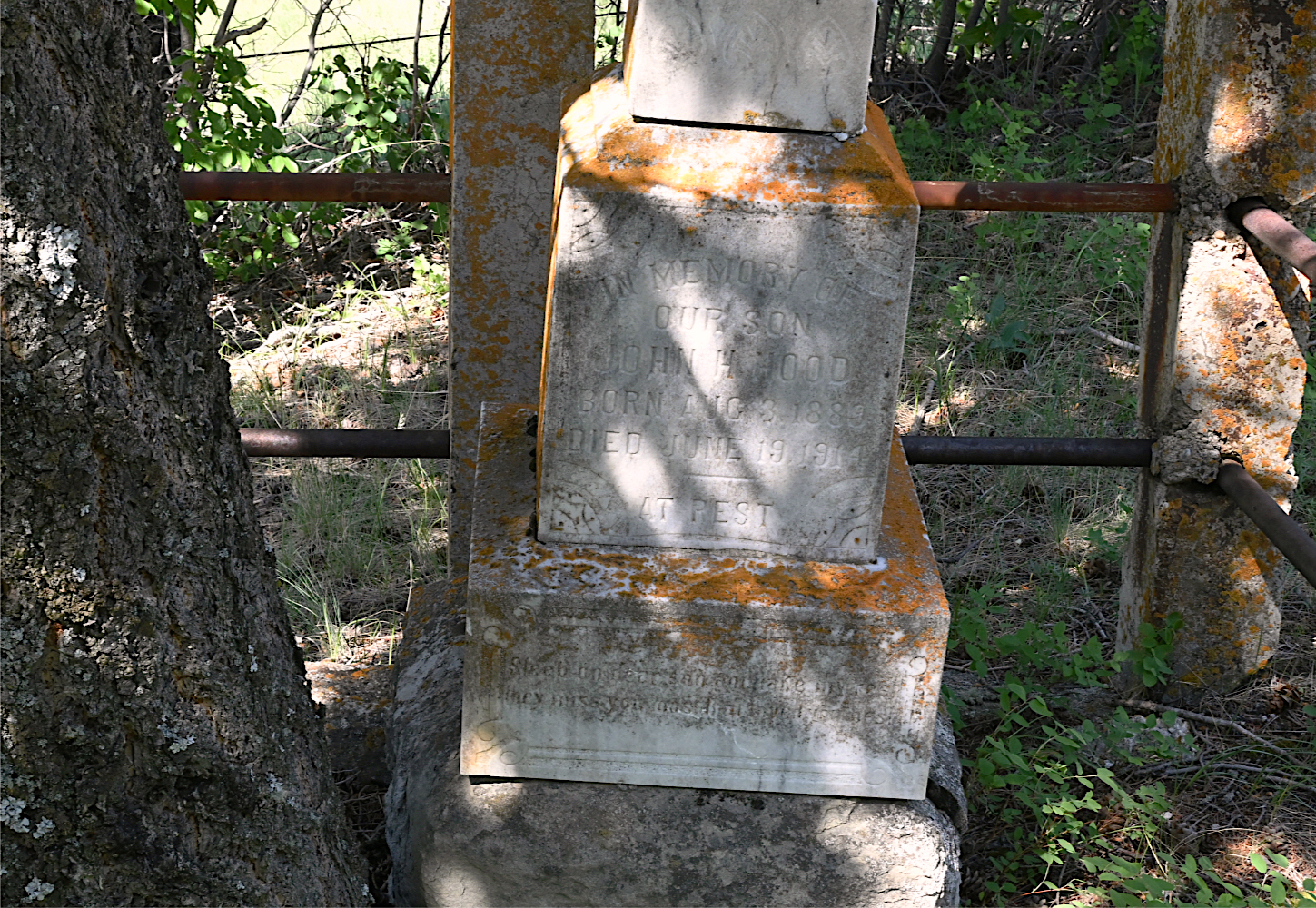 DSC_0383.jpg