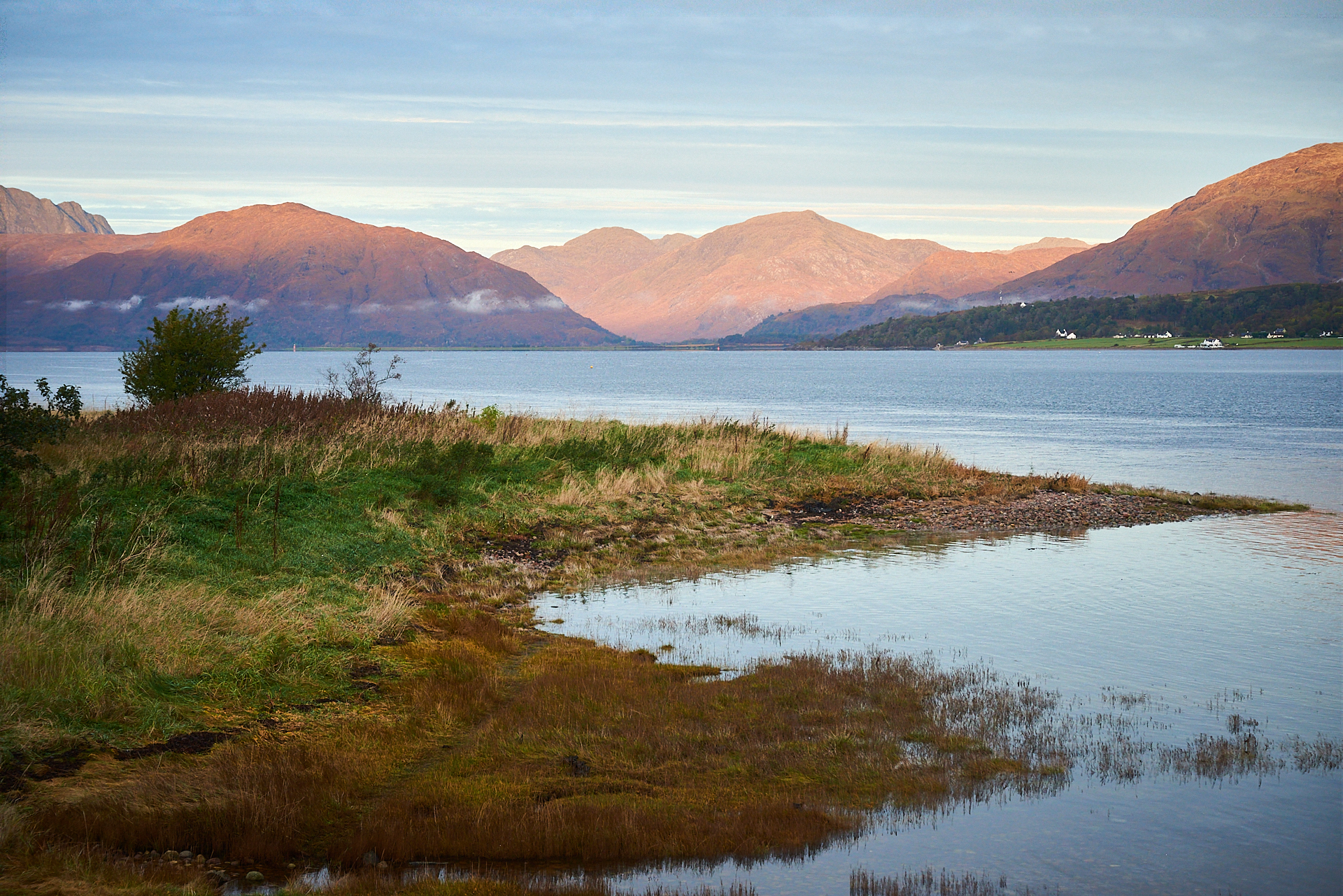 DSC_1867_Argyll.jpg