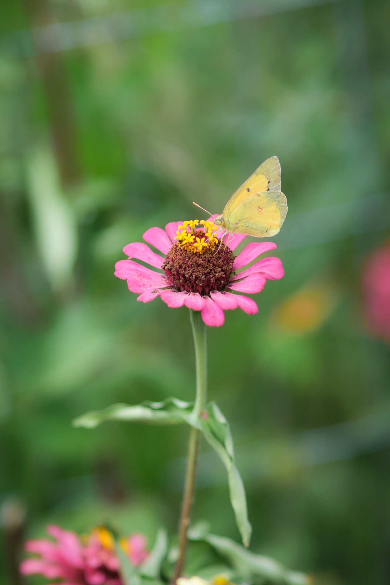 DSCF9749.jpg