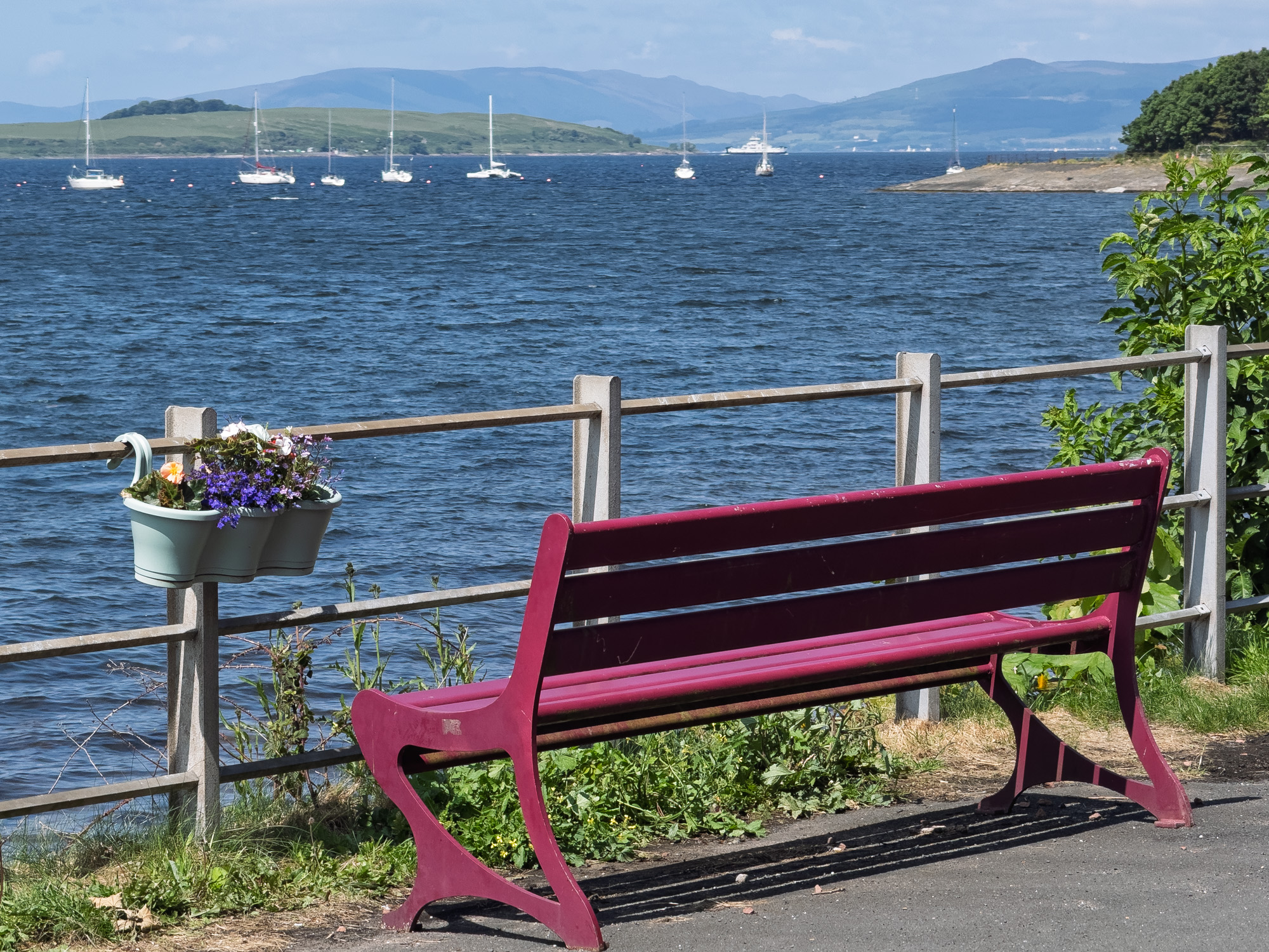 Fairlie20250610.jpg