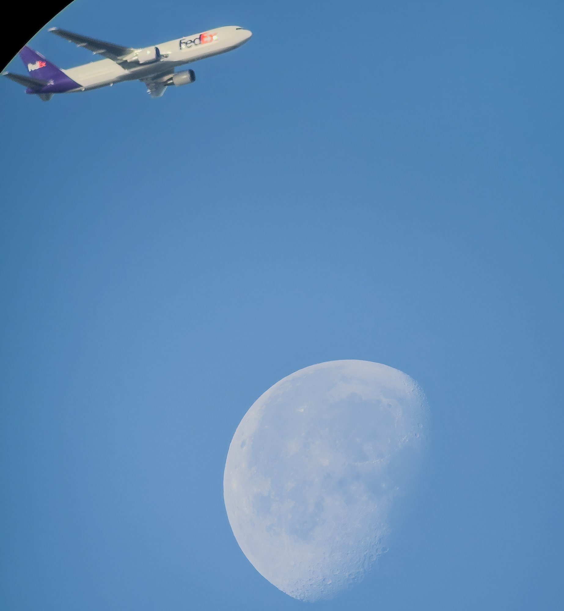 Fedex Moom -.jpg