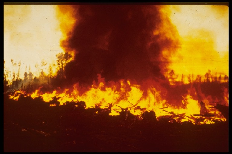 Flames at Night.jpg