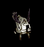 flyingsheep.gif