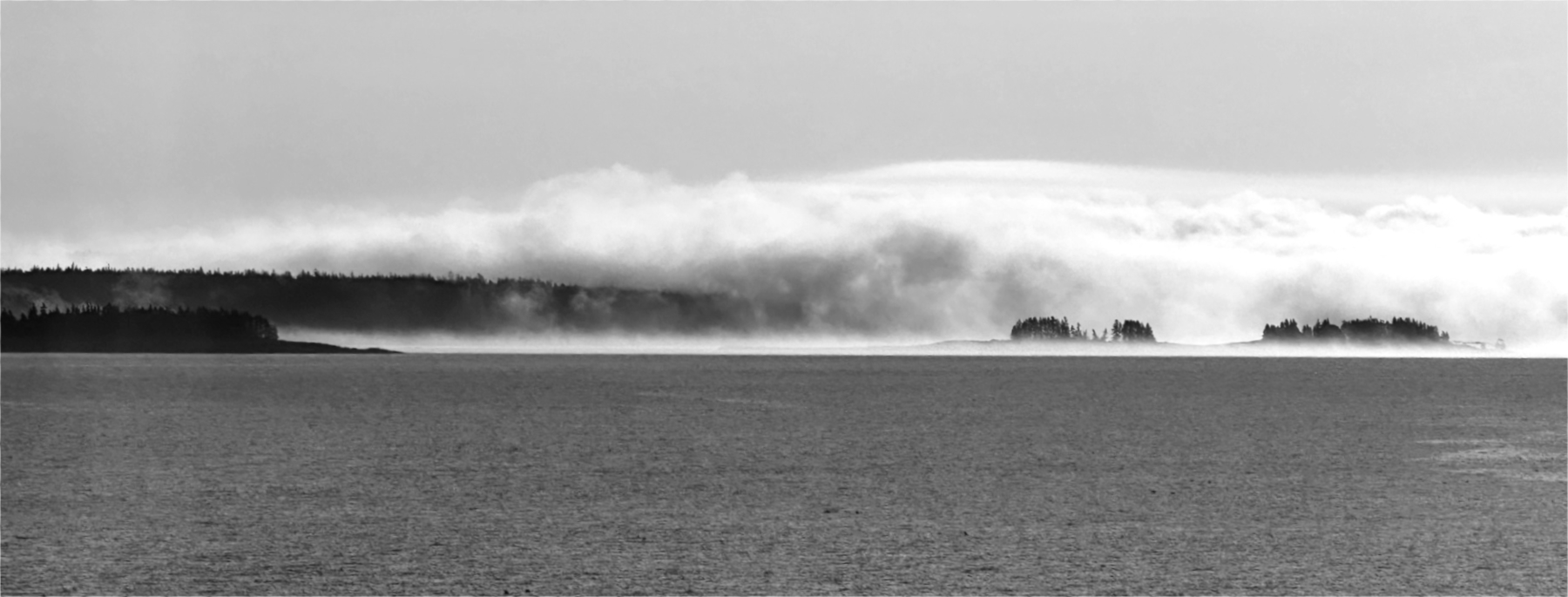 Fog Rolls In IMG_3503.jpeg