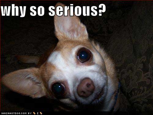 funny-dog-pictures-why-so-serious.jpg