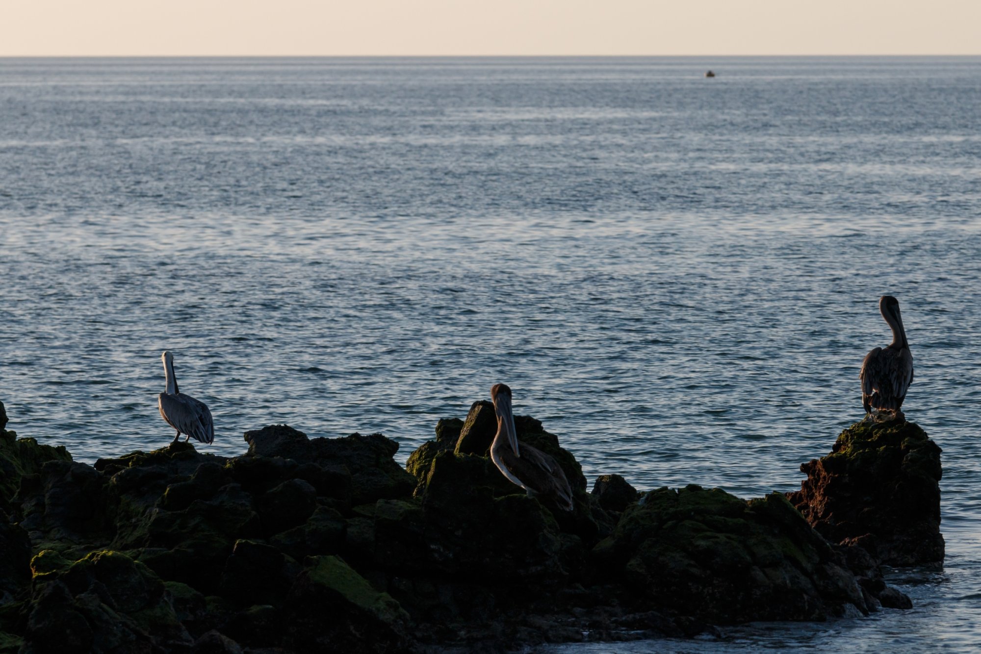 Galapagos_IMG_3926.jpg