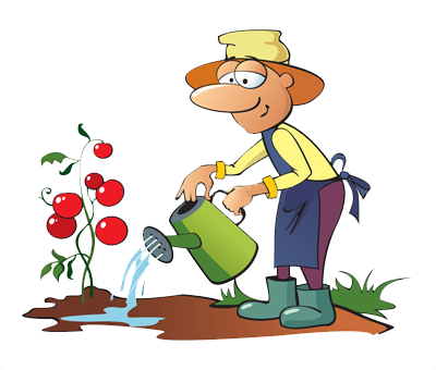 gardener-watering-tomatoes2.png