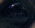 gizmo_eye.jpg