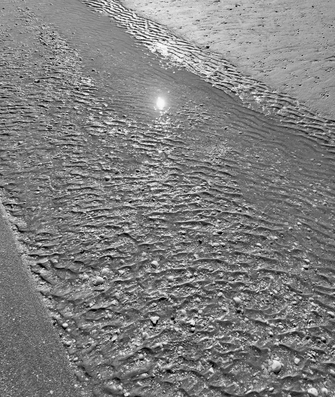 IDG_20250816_093146_515.jpeg