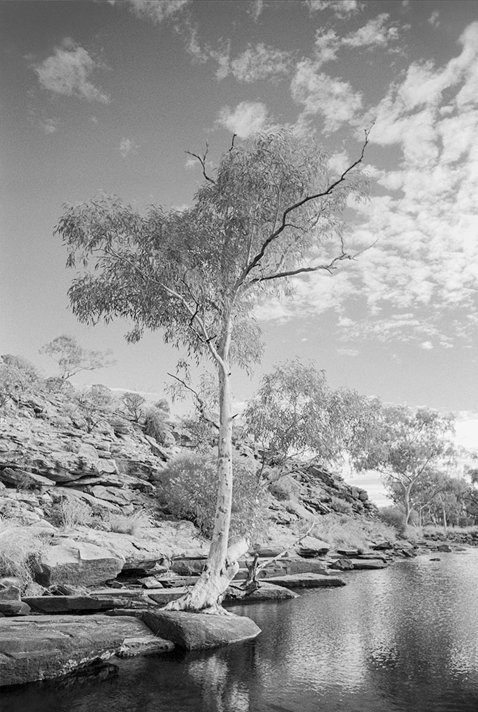 Ilford_SFX_200_Kings_Canyon_2.jpg
