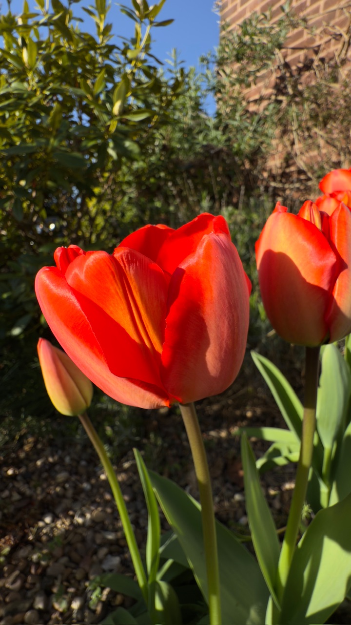 IMG_0016.jpeg