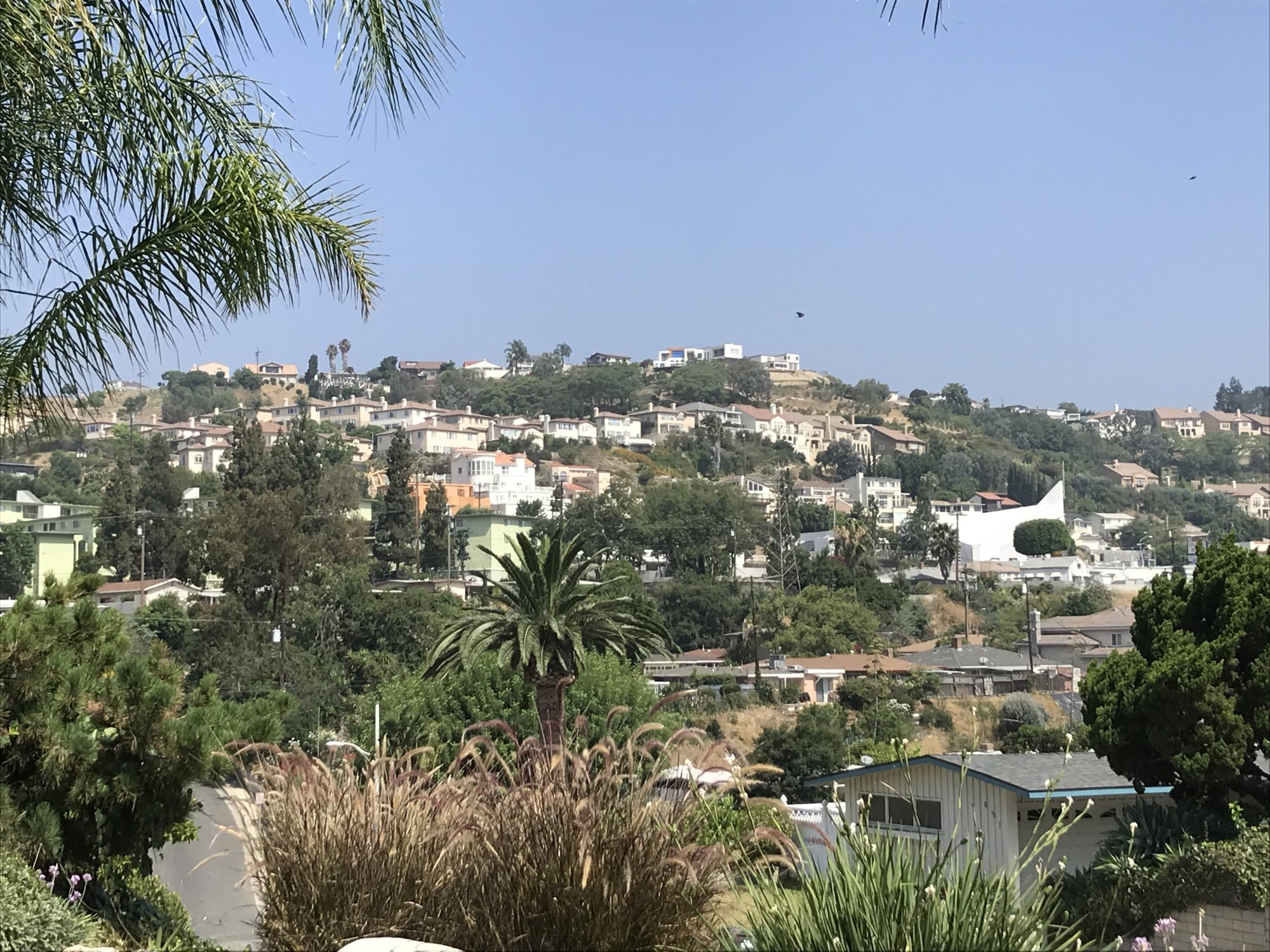 IMG_0192.jpeg