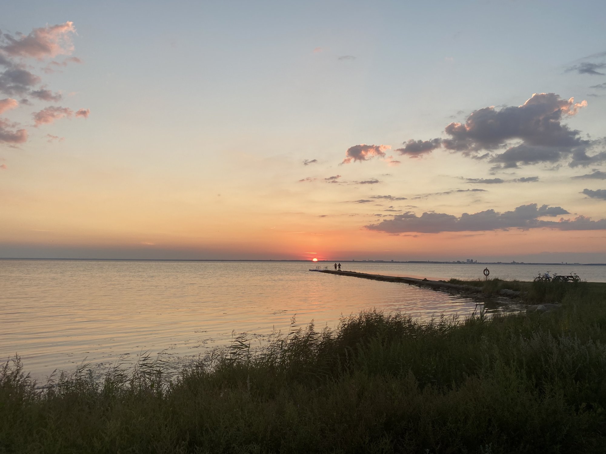 IMG_0397.jpeg