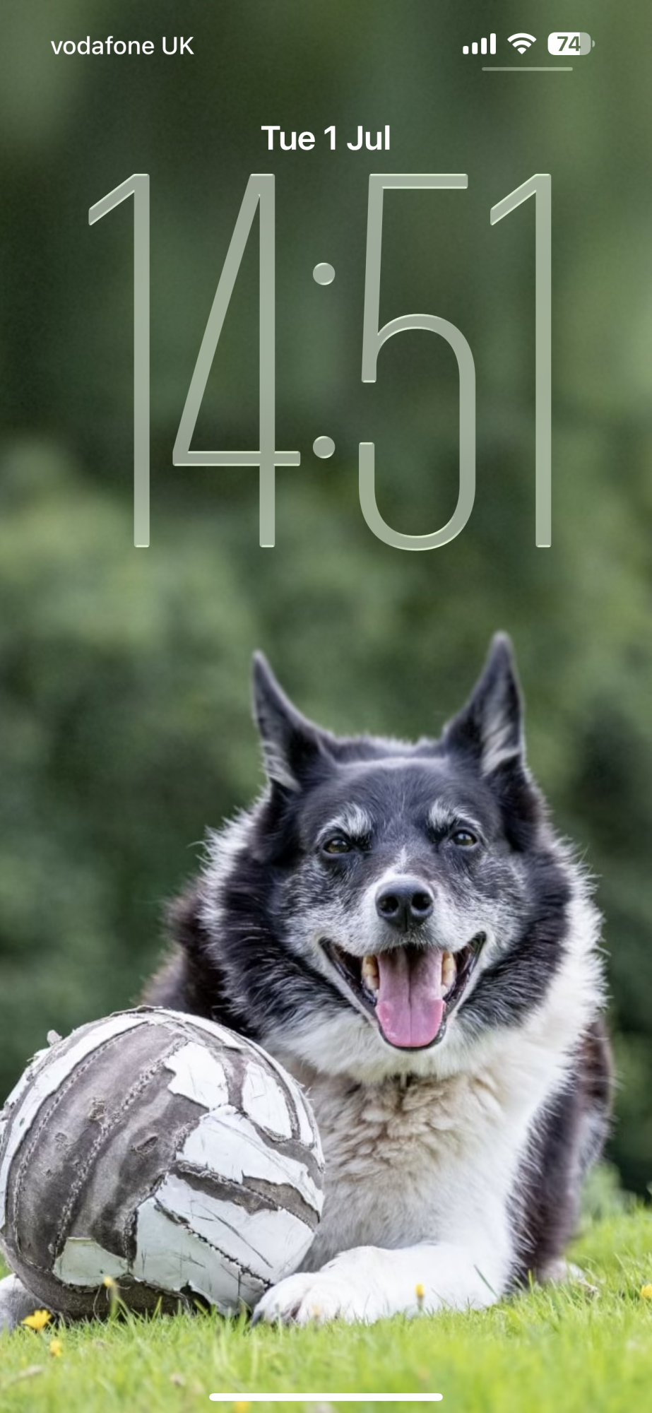 IMG_0461.PNG