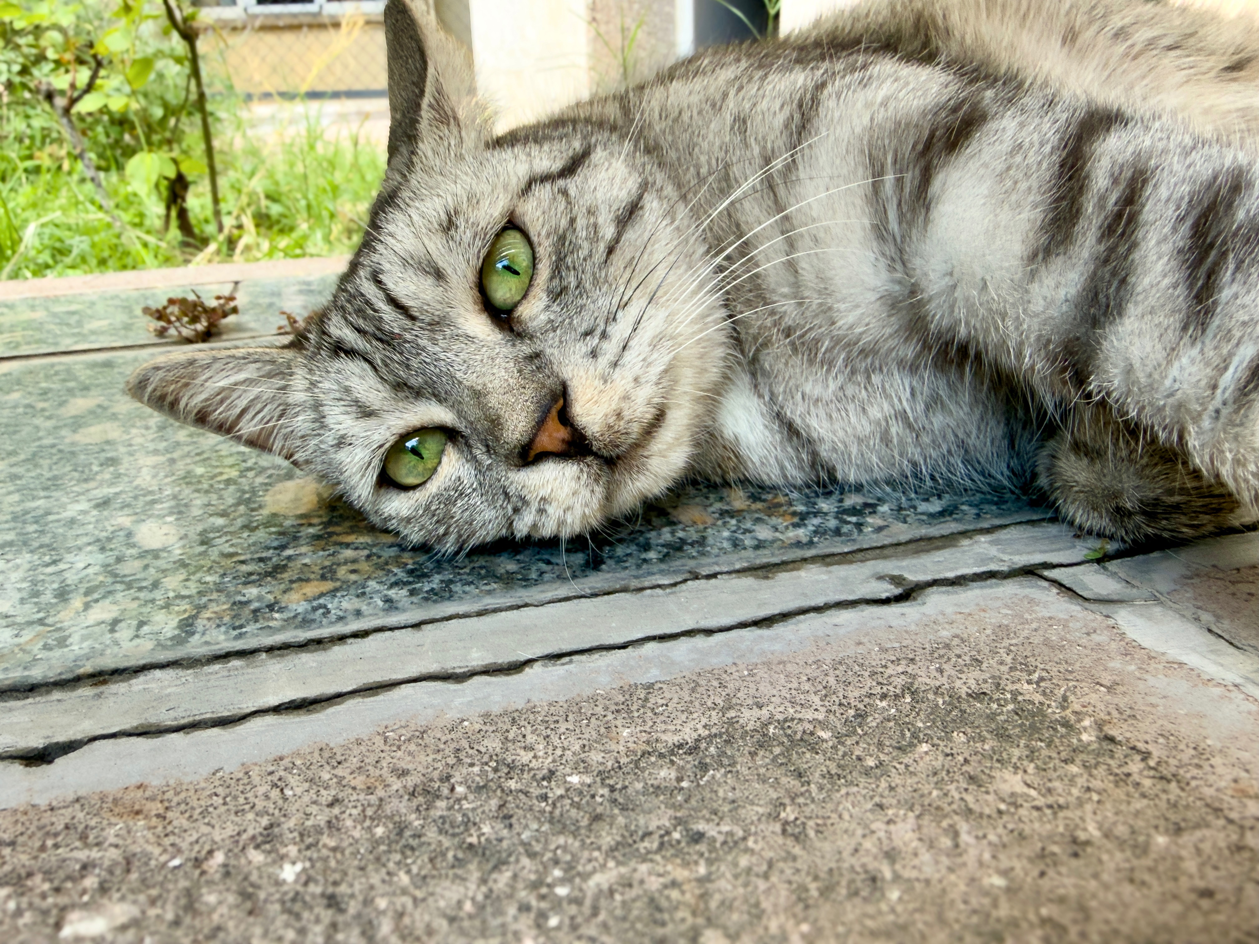 IMG_0489.jpeg