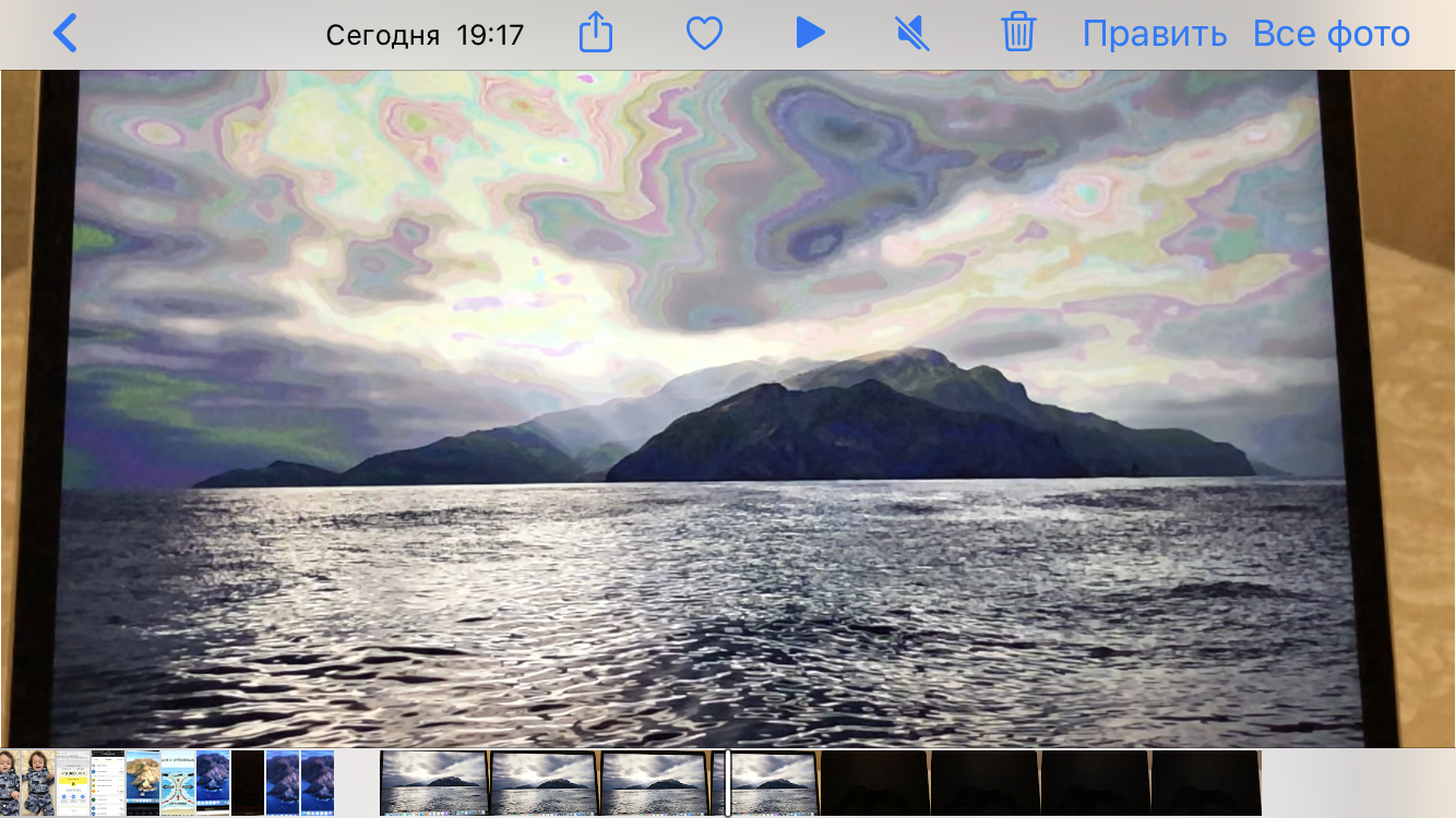 IMG_1488.PNG