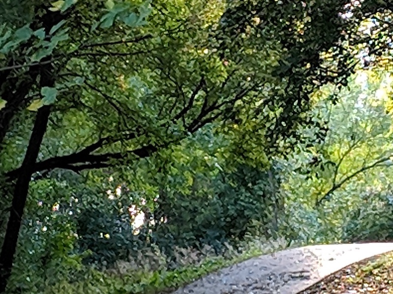 IMG_20180921_175556.jpg