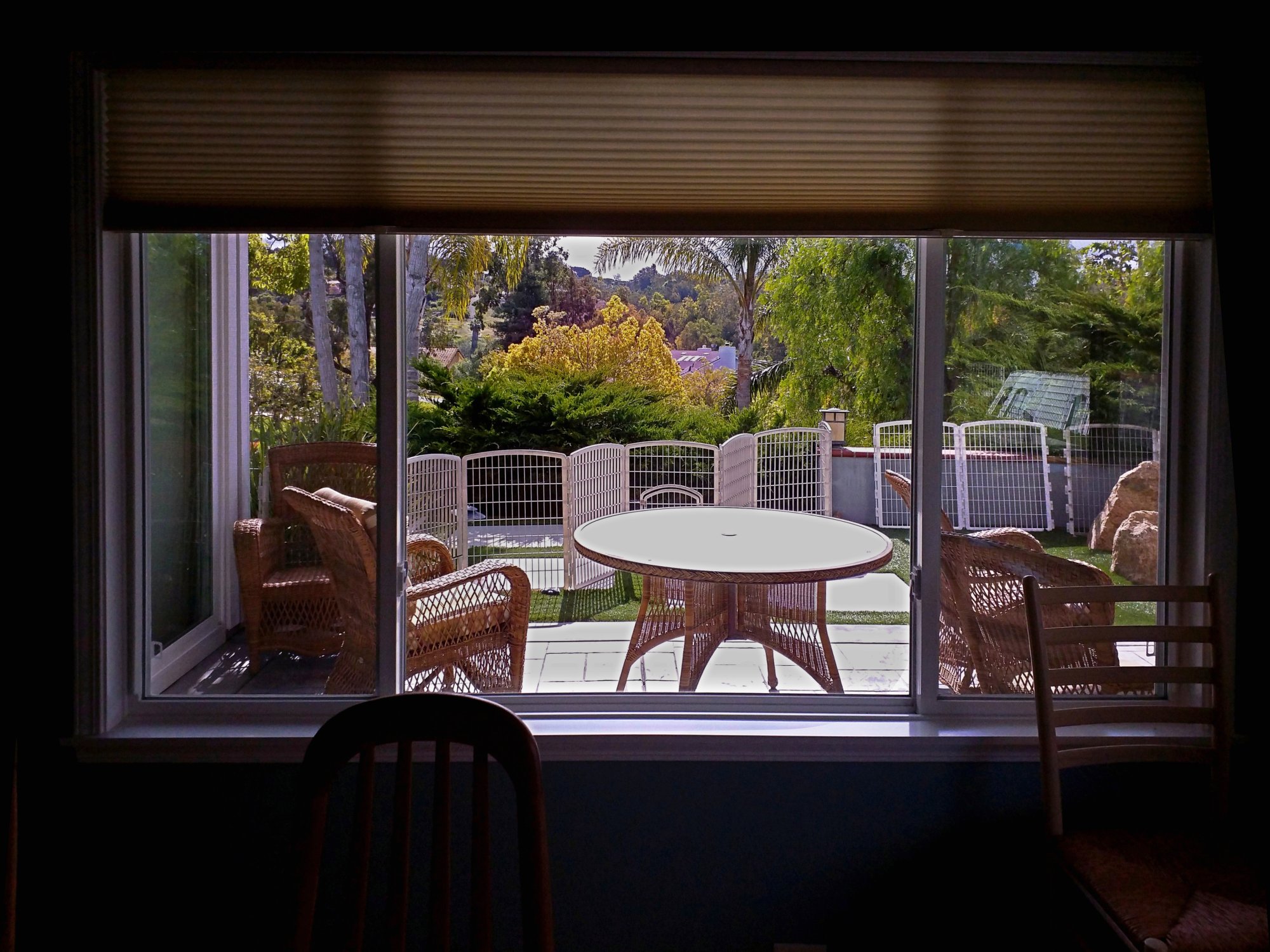 IMG_20250427_093948 x.jpg