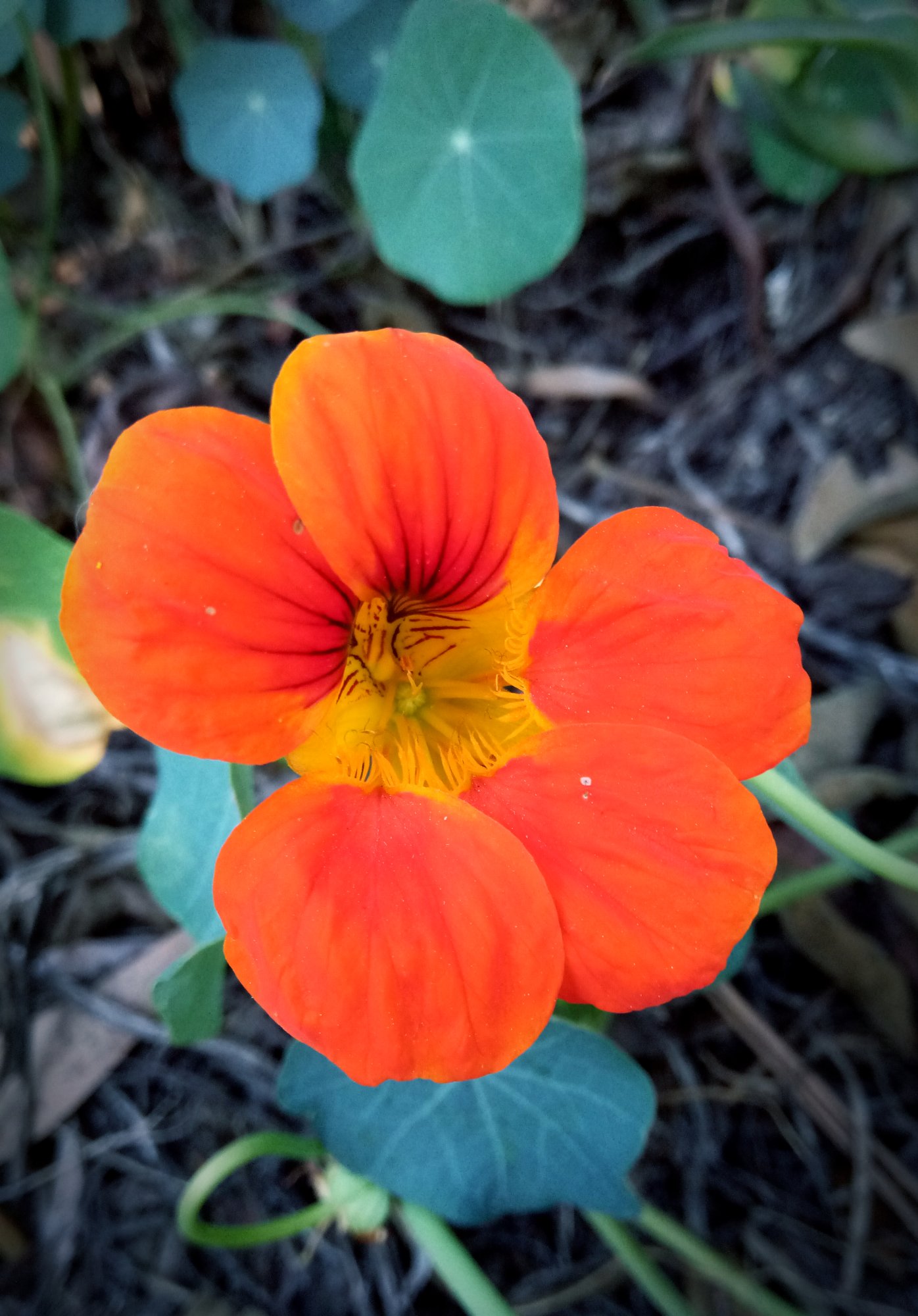 IMG_20250508_172534 xv.jpg