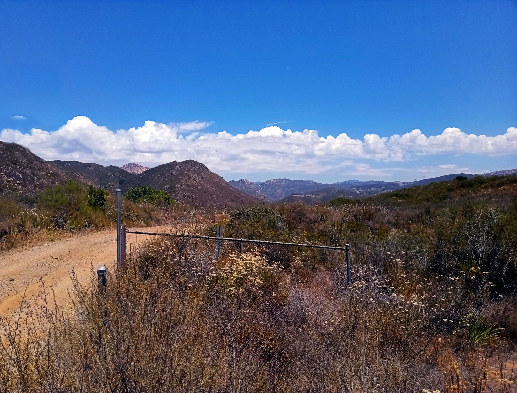 IMG_20250701_133837 x2.jpg