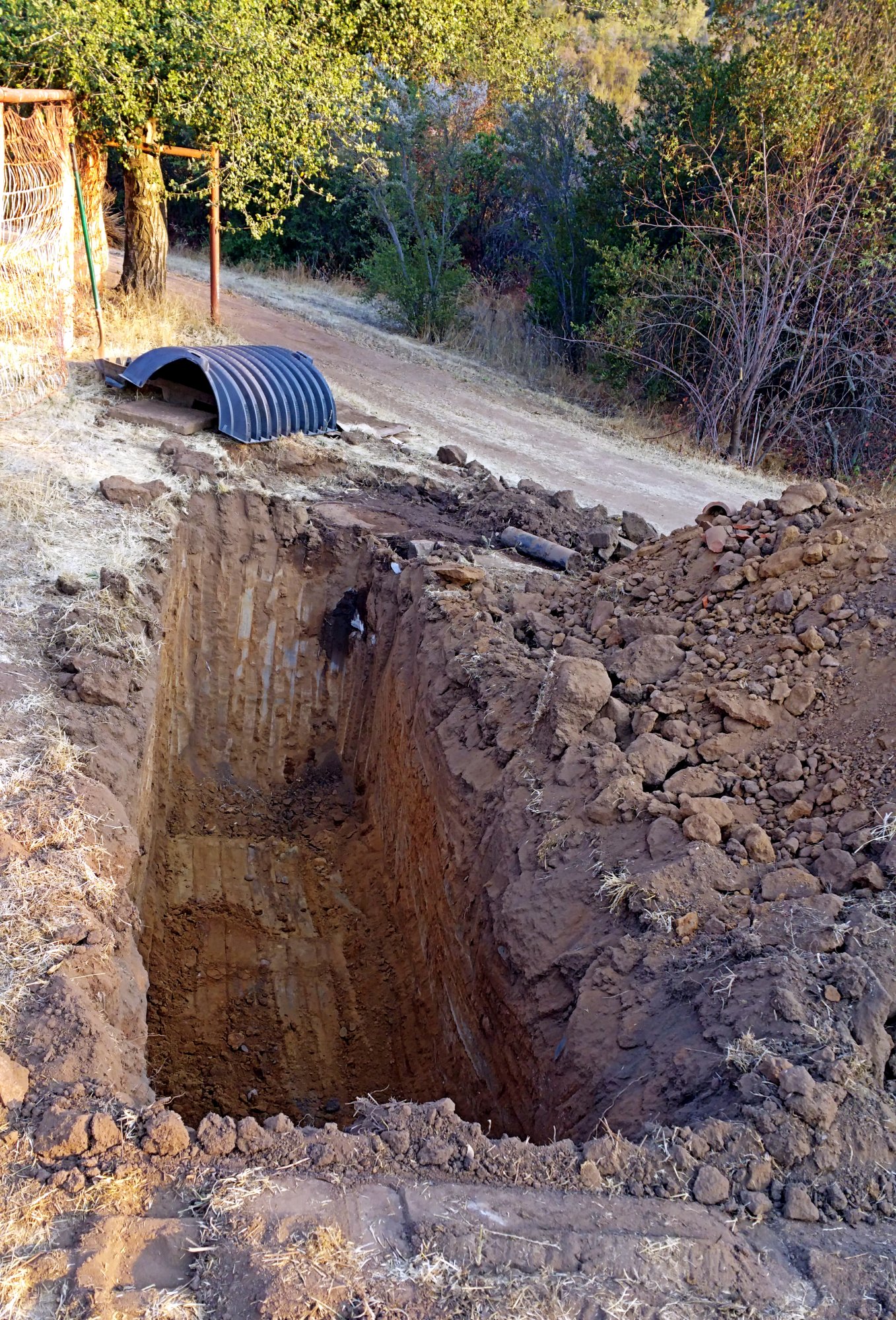 IMG_20250804_183025 cropx.jpg