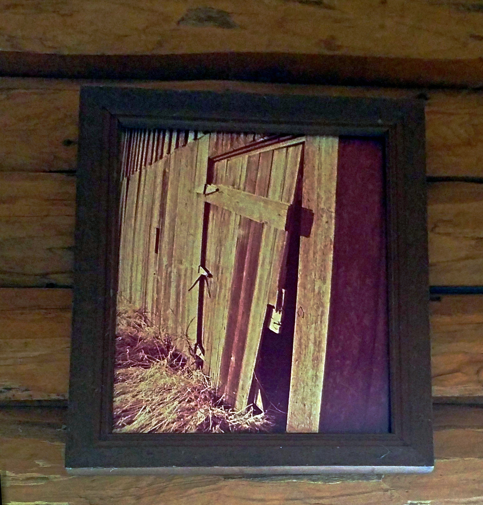 IMG_20250819_131750 x.jpg