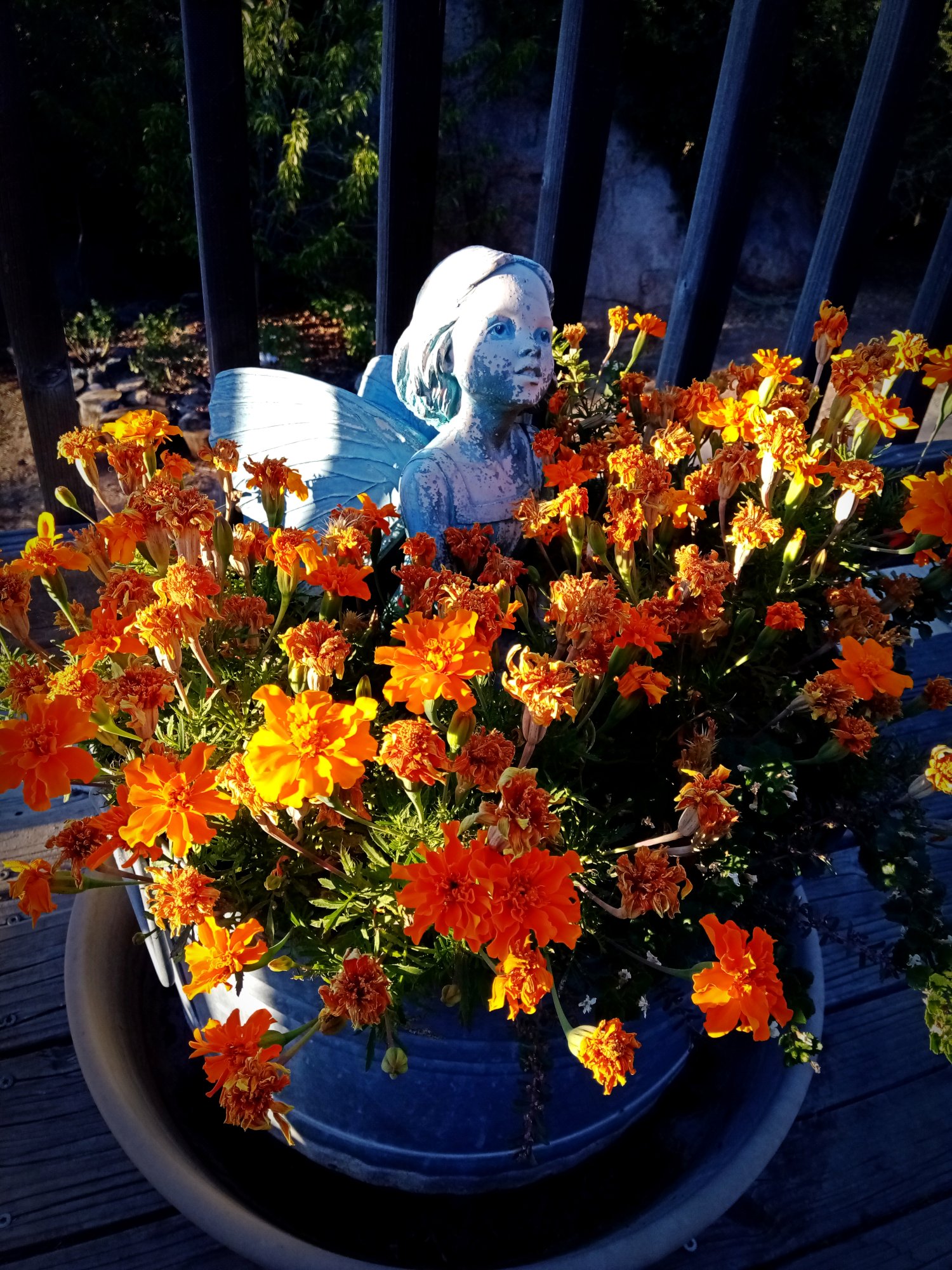 IMG_20250819_185151 xv.jpg