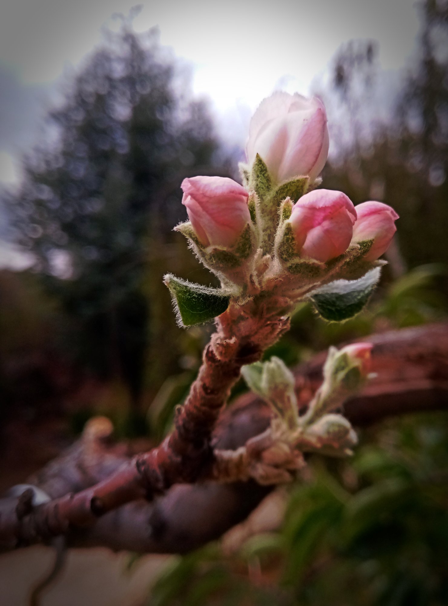 IMG_20250917_145005 cropxv.jpg