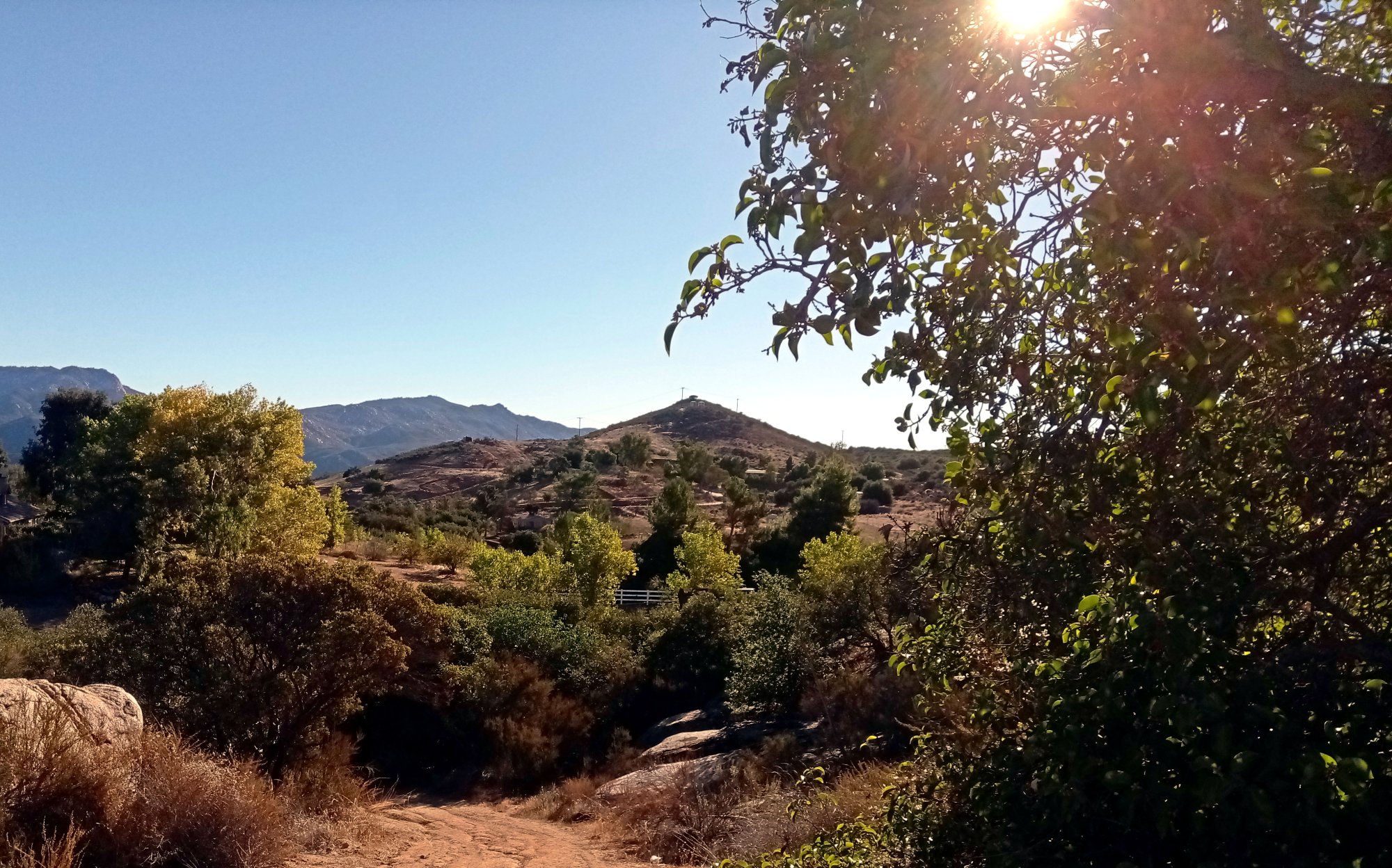 IMG_20251108_081015 cropx.jpg