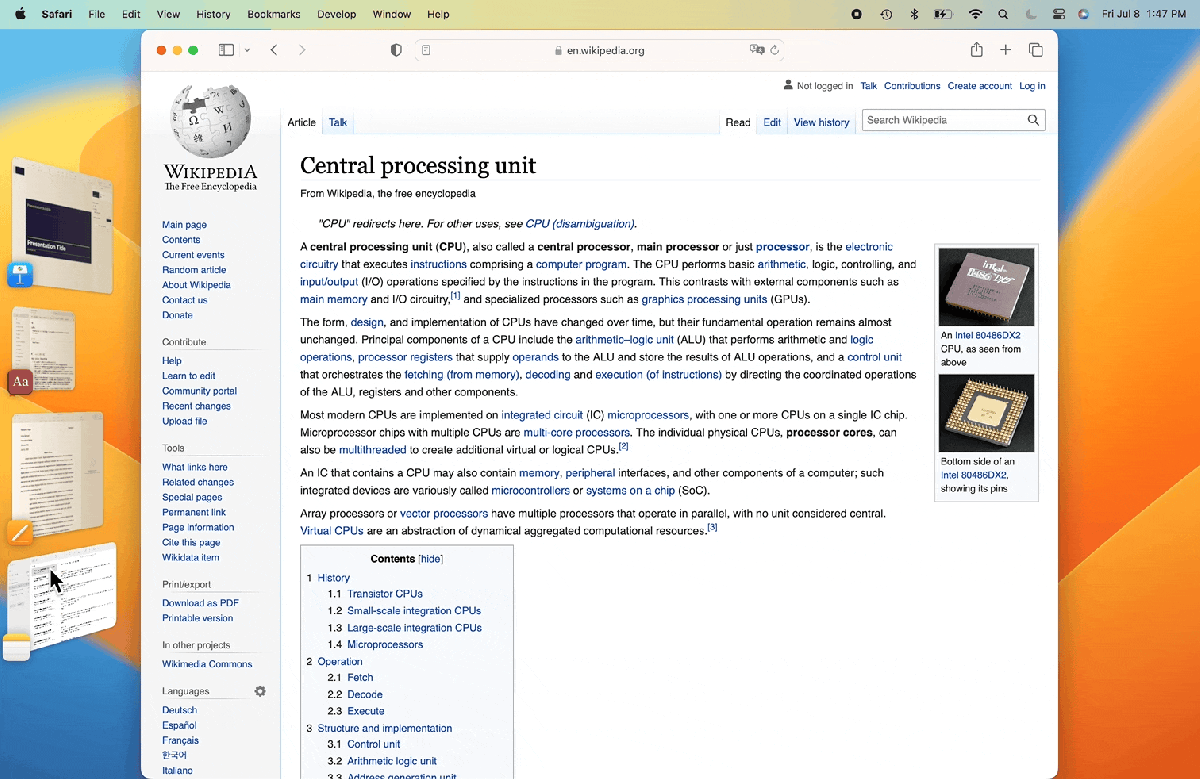 IMG_2620.gif