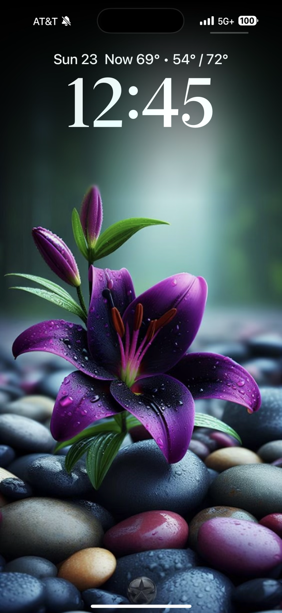 IMG_3554.png