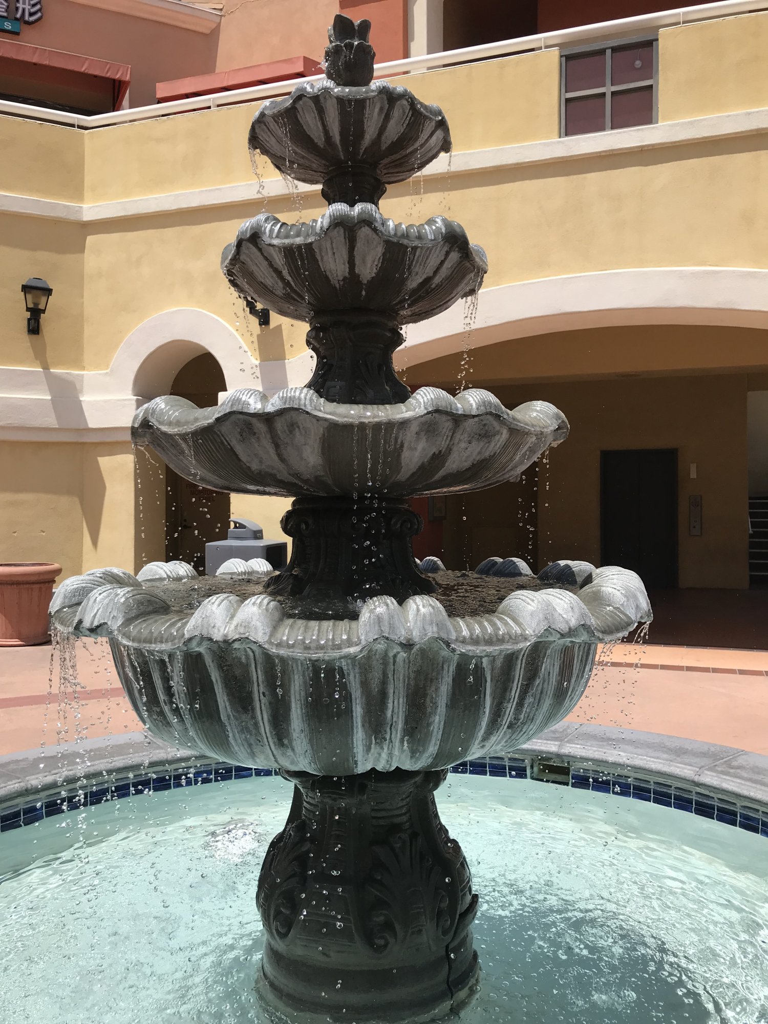 IMG_4341.jpeg