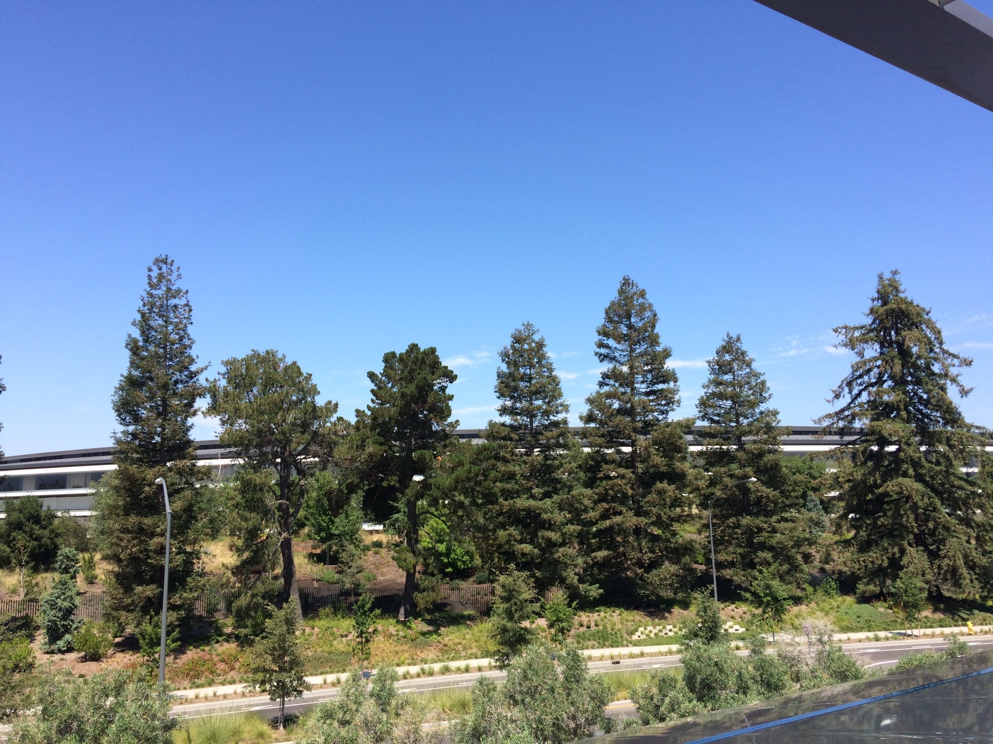 IMG_4455.jpeg
