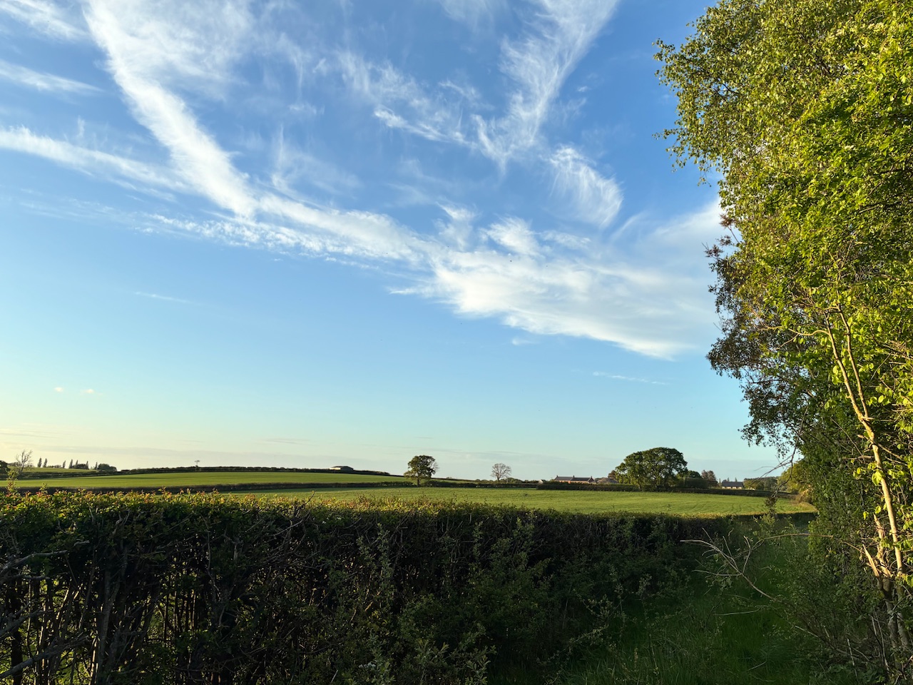 IMG_4720.jpeg