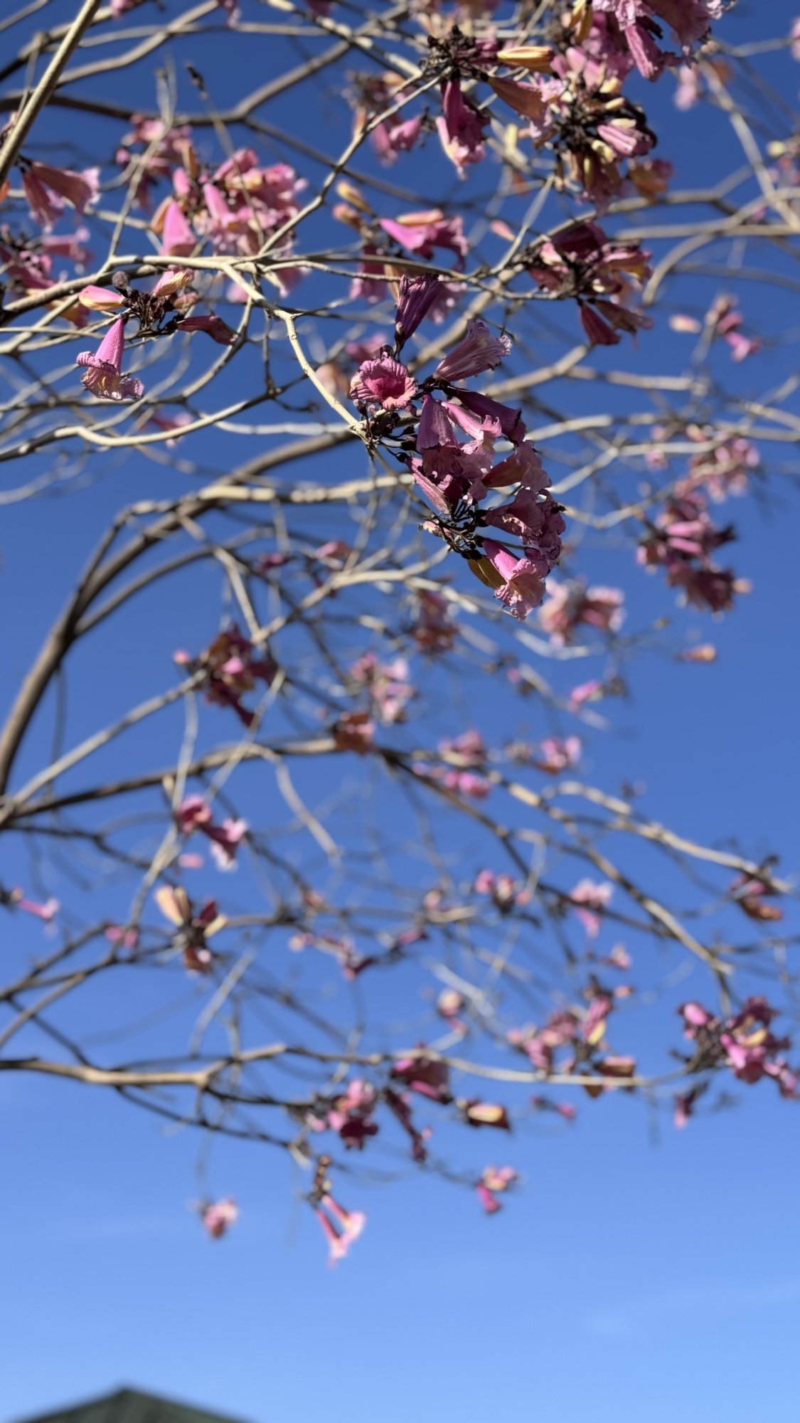 IMG_6428.jpeg