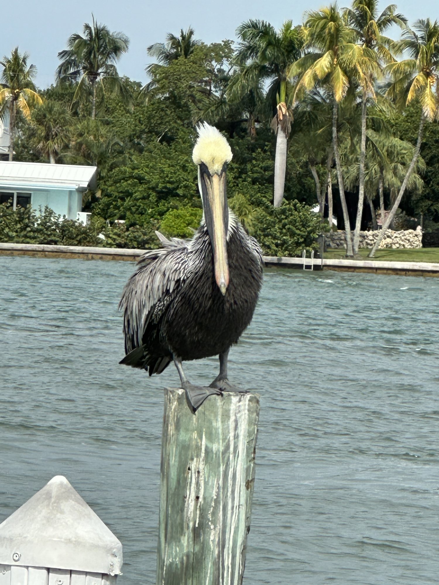 IMG_6824.jpeg