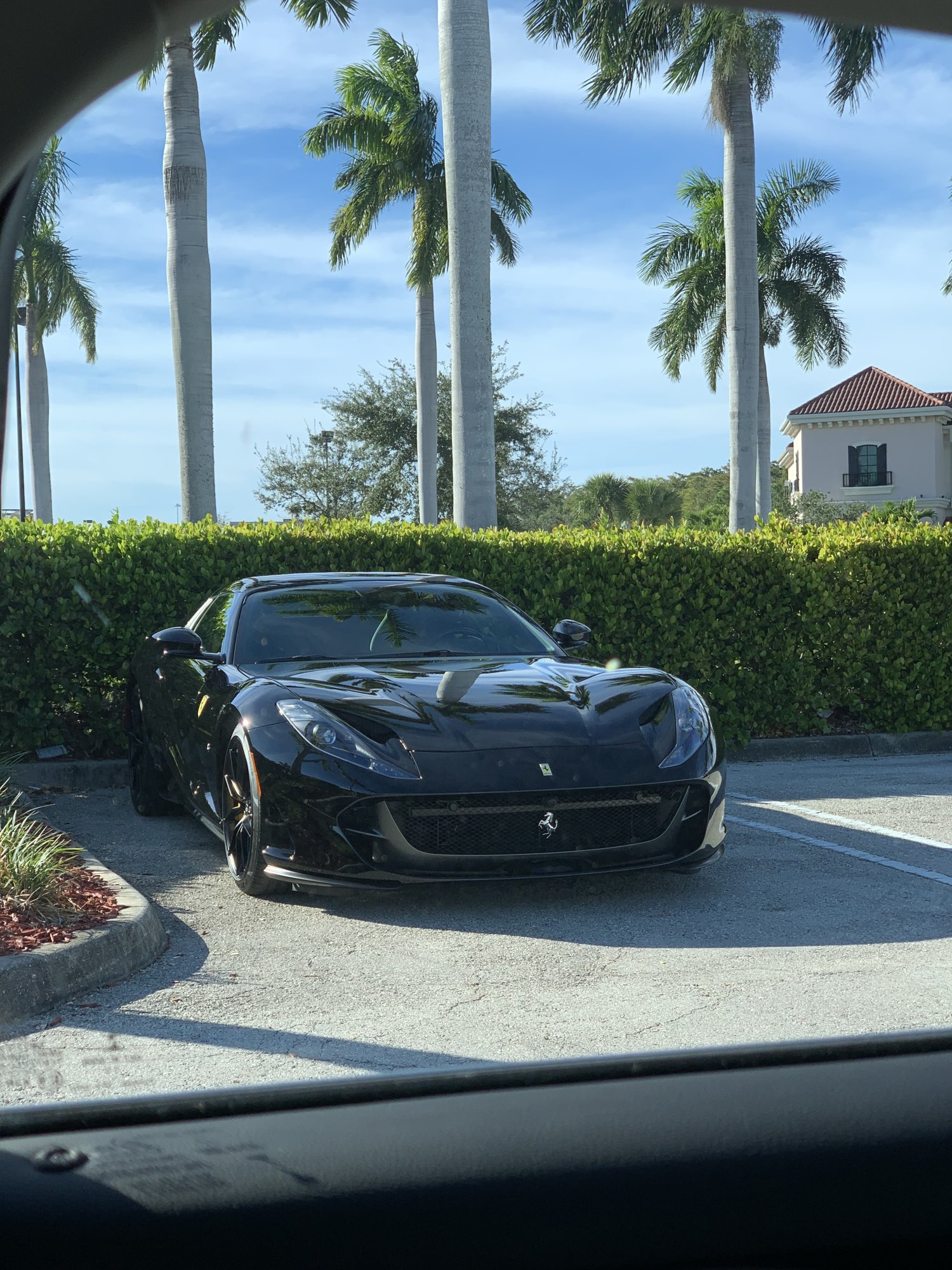IMG_6967.jpeg