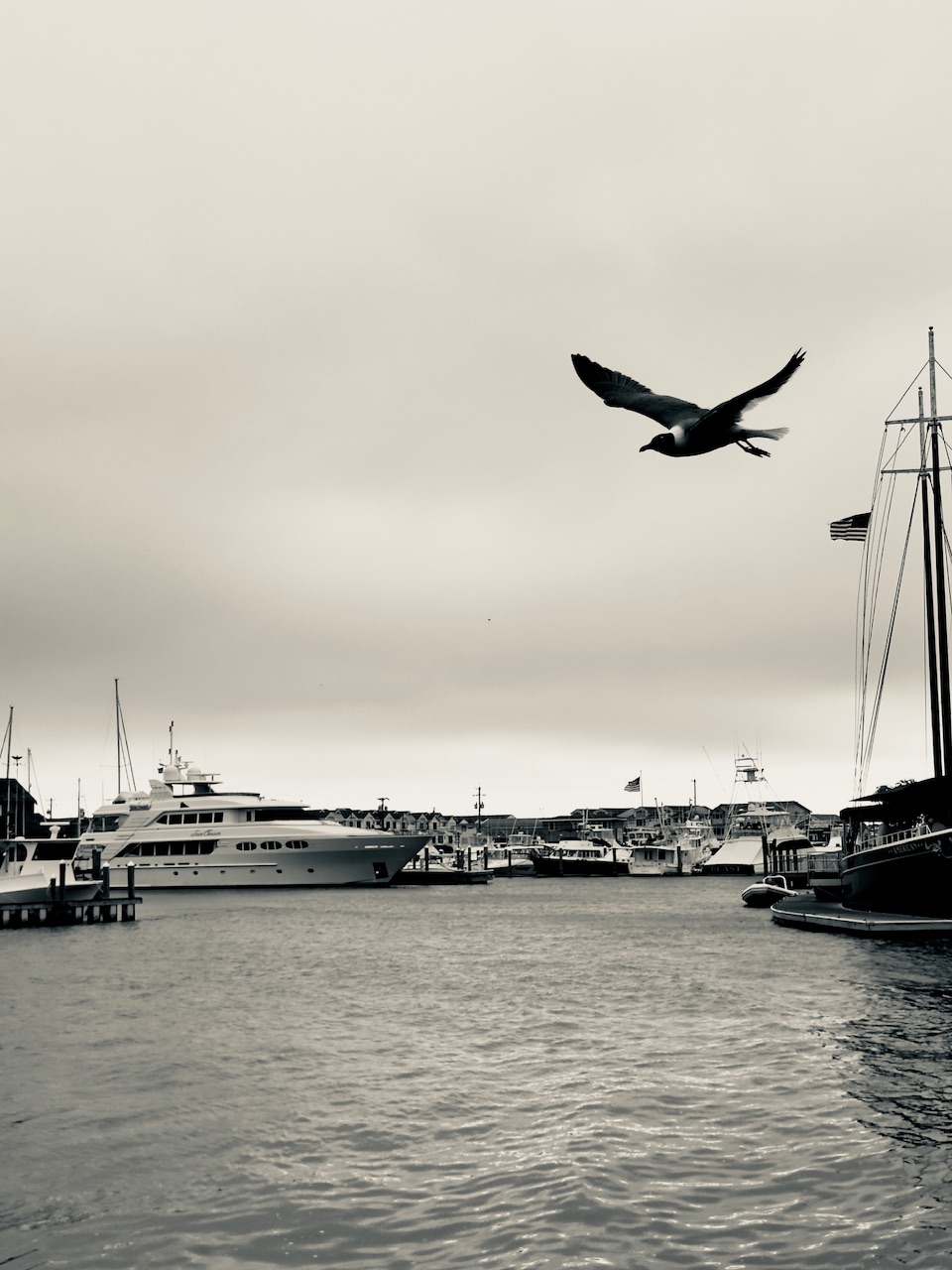 IMG_7181.jpeg