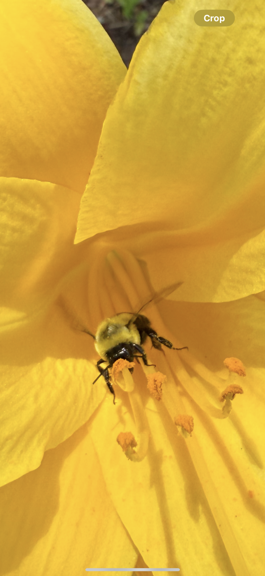 IMG_7360.png