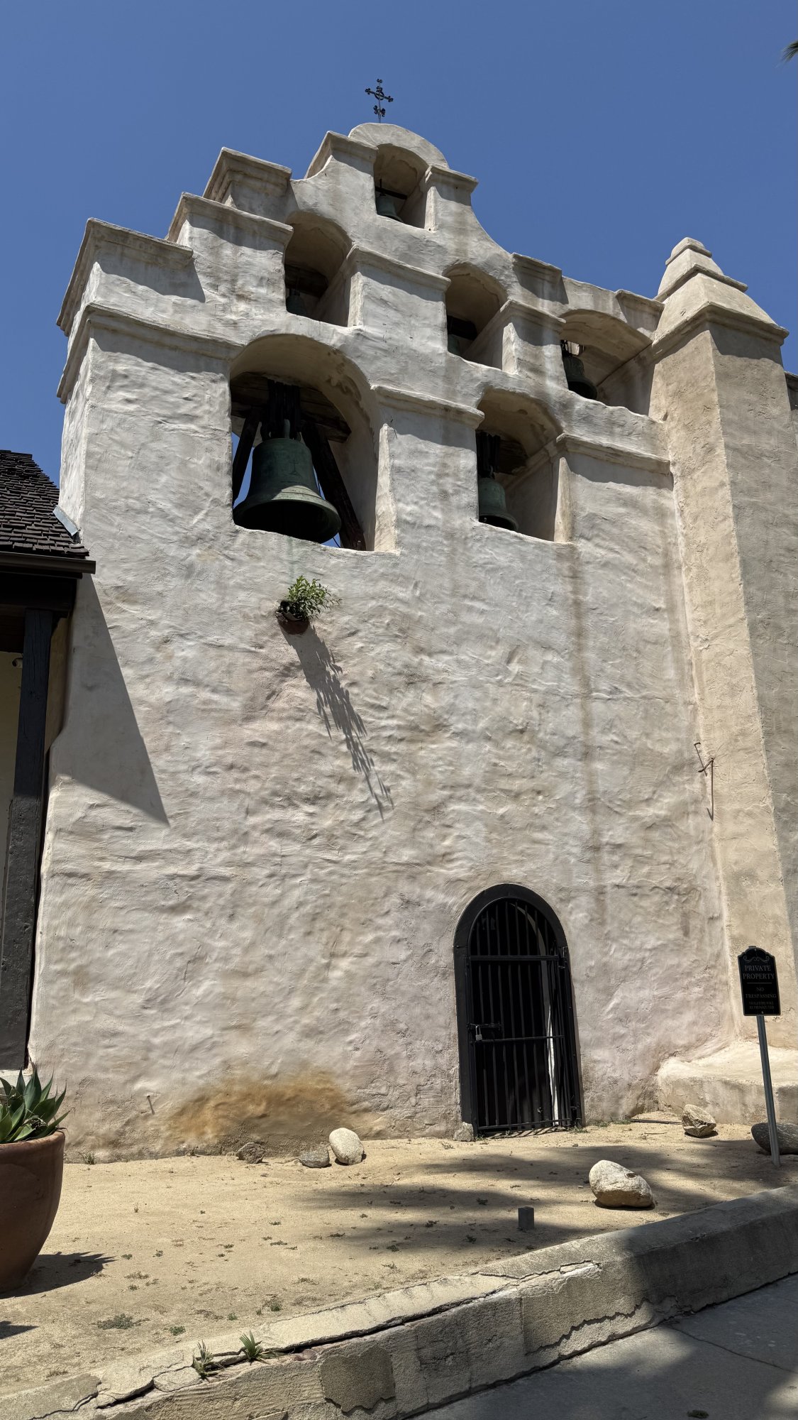 IMG_7695.jpeg